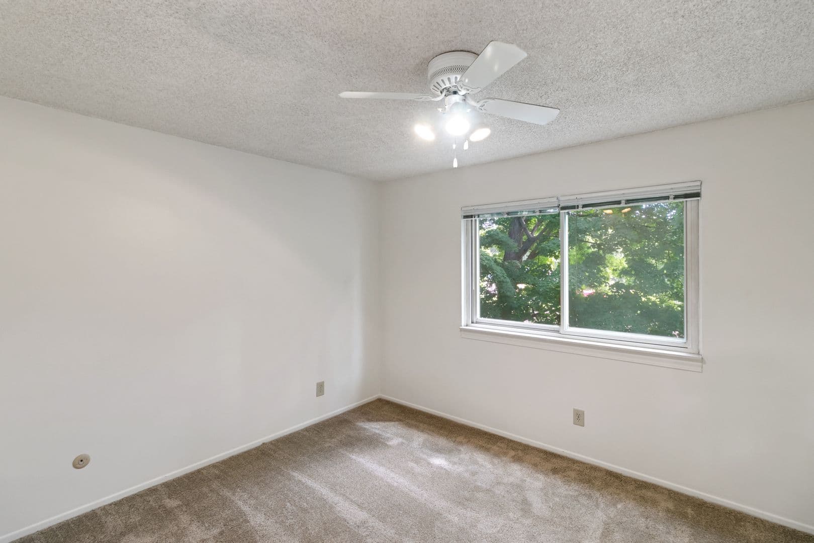 Hillsdale Apartment: 34 & 64 State St and 63 Marion St