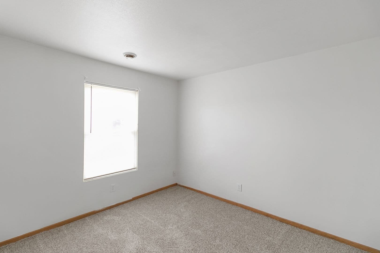 Saginaw Apartment: 2800 Brookwood N.