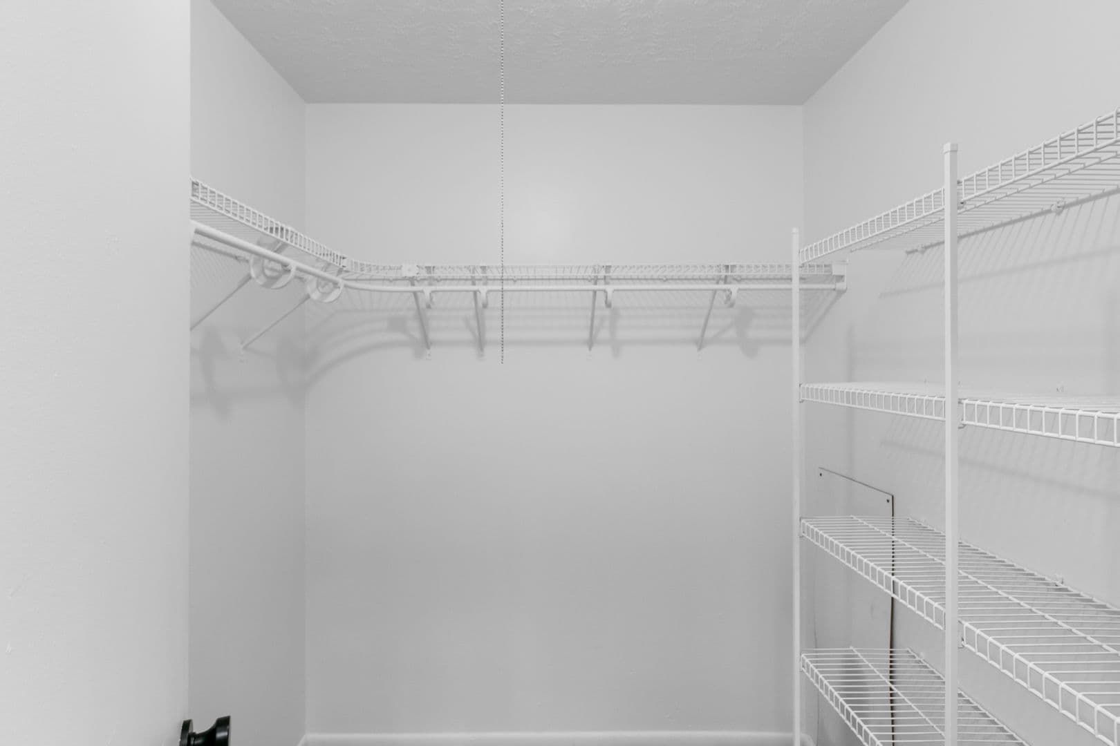 Kalamazoo Apartment: 105 N Kendall Ave