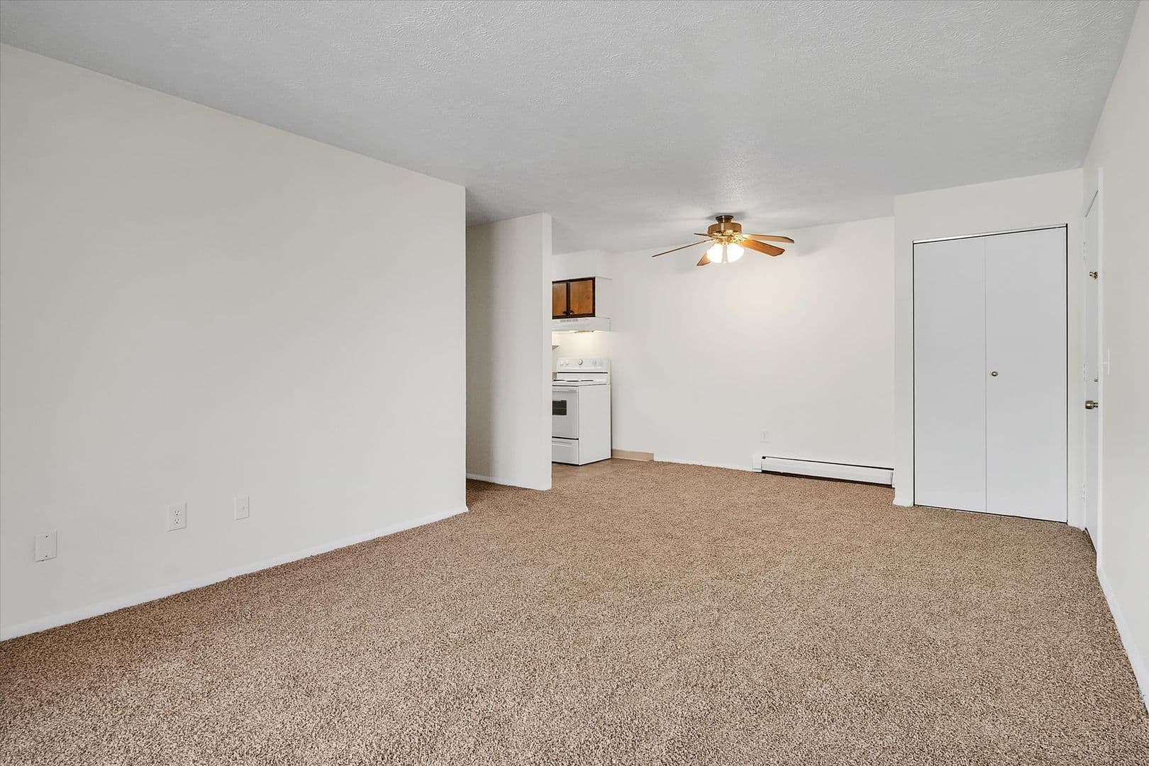 Olivet Apartment: 624 Spruce, 628 Spruce, 700 Spring Street, 706 Spring