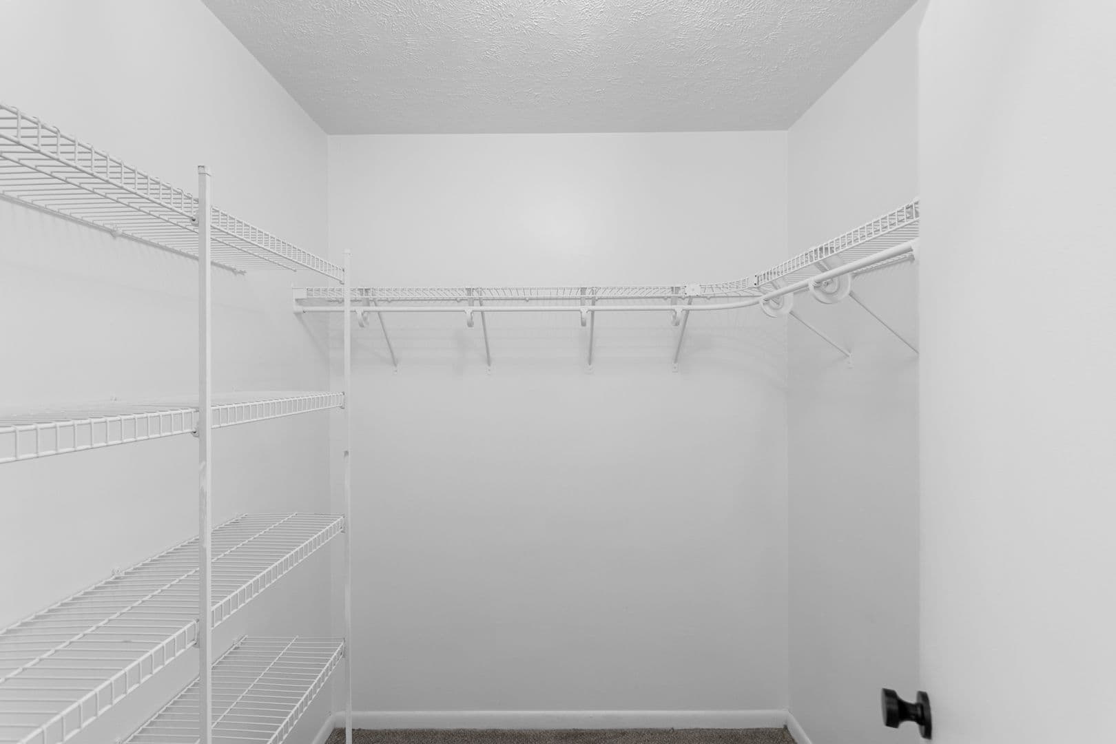 Kalamazoo Apartment: 105 N Kendall Ave