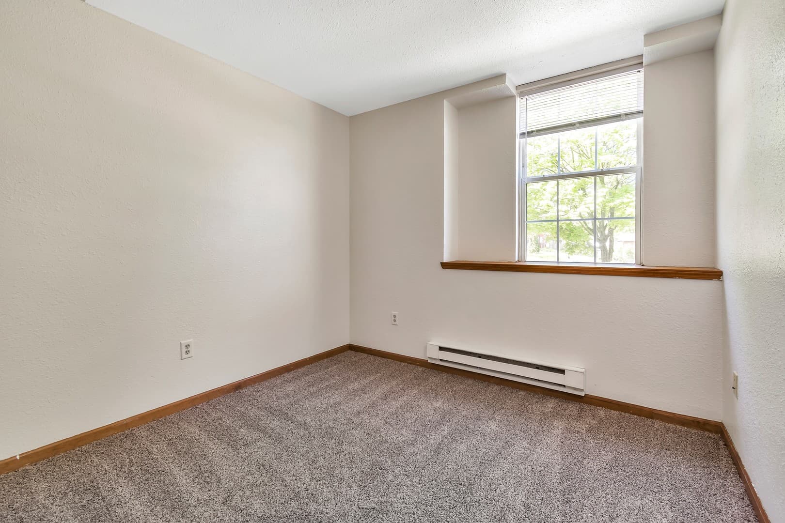 Olivet Apartment: 350 Church Street