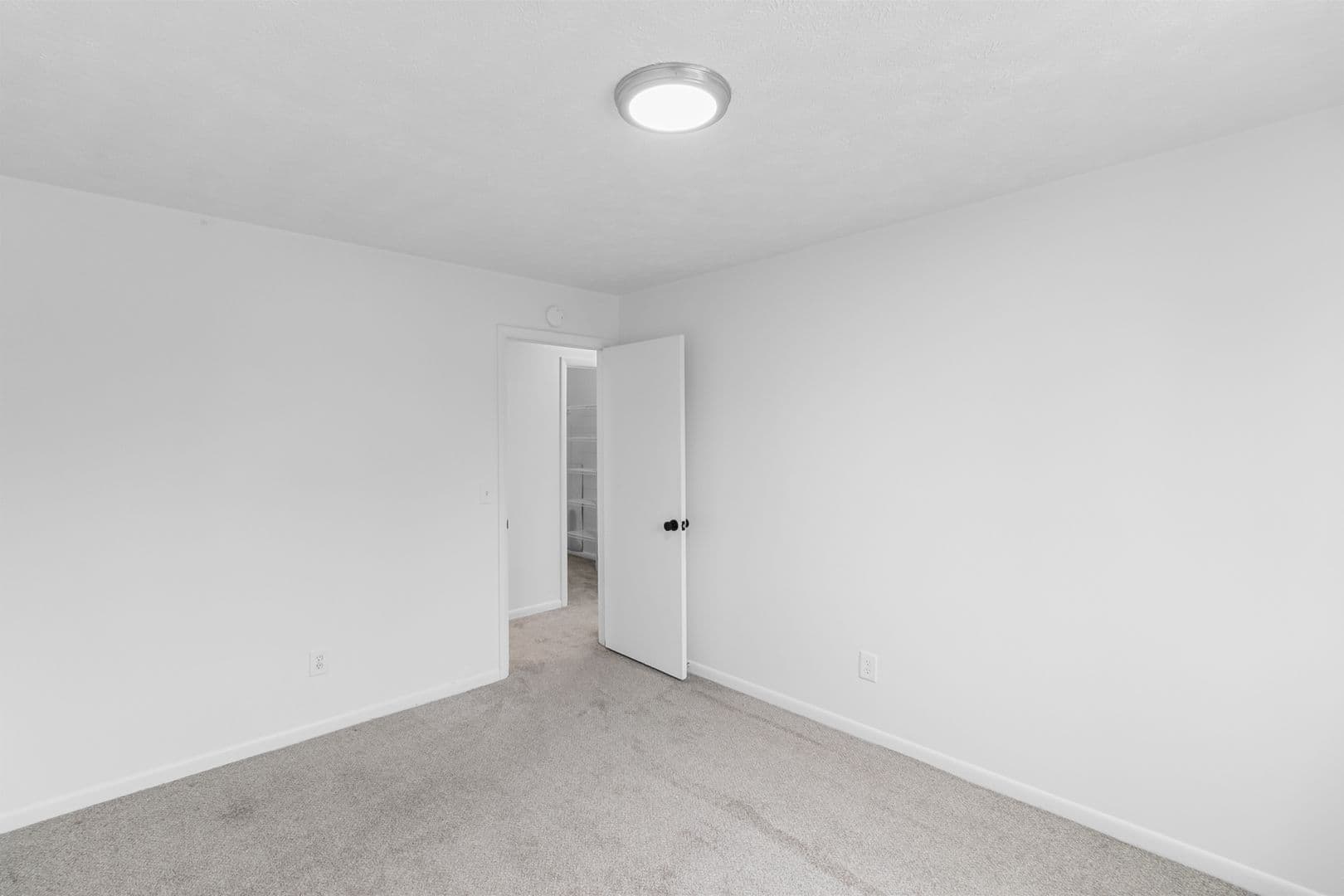 Kalamazoo Apartment: 105 N Kendall Ave