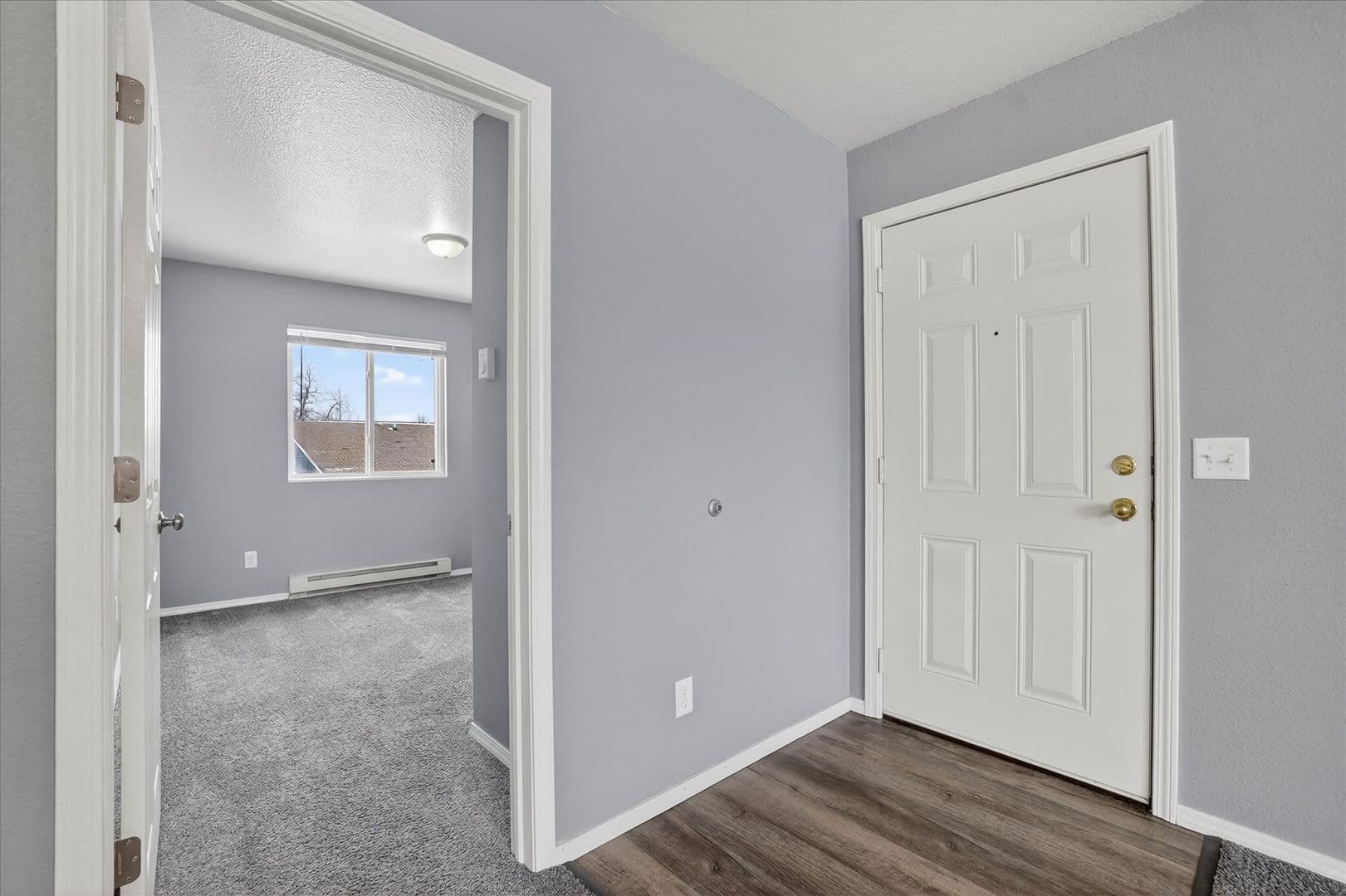 Shepherd Apartment: 127 S Union Street