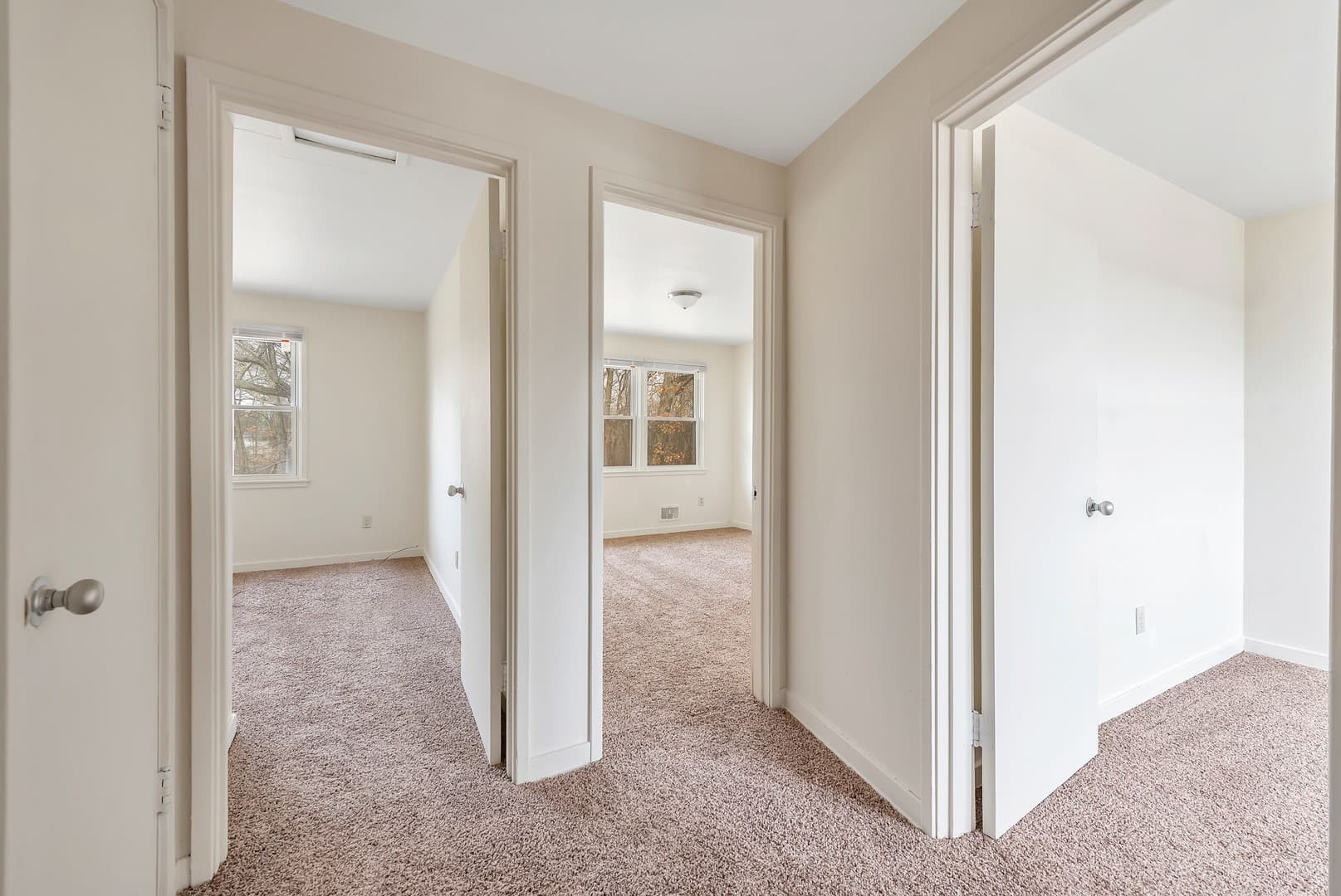Springfield Apartment: 1 -16 Locust Road