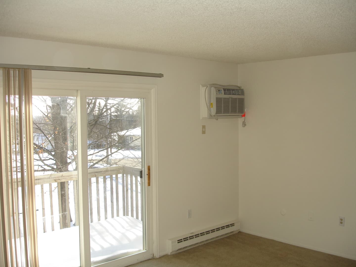 Ionia Apartment: 634 Morse St