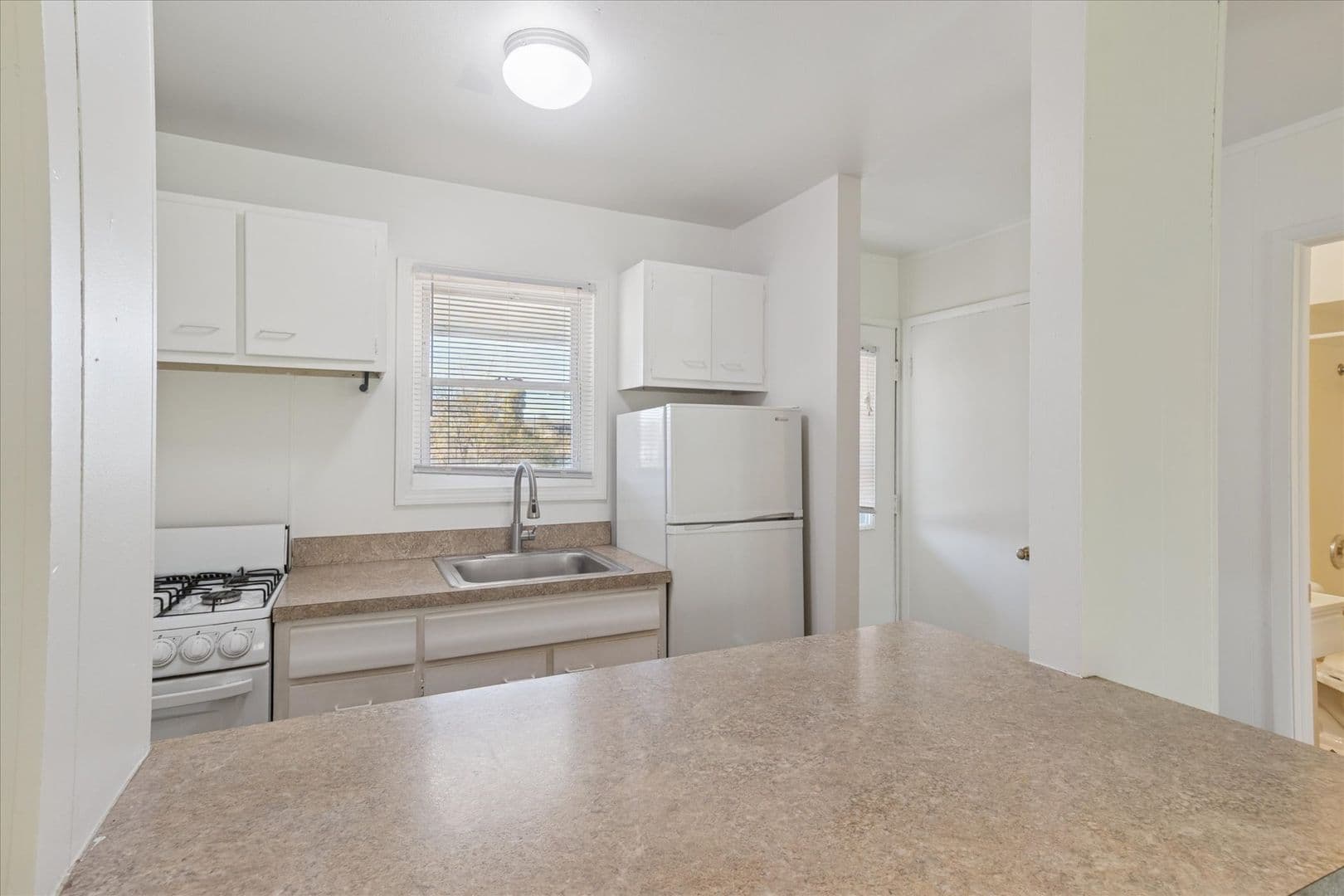 Brighton Apartment: 660 & 672 Flint Rd