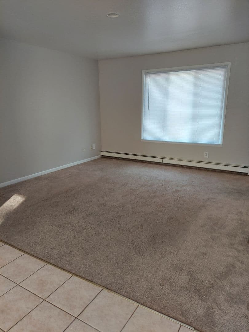 Ithaca Apartment: 531 N. Pine River St.