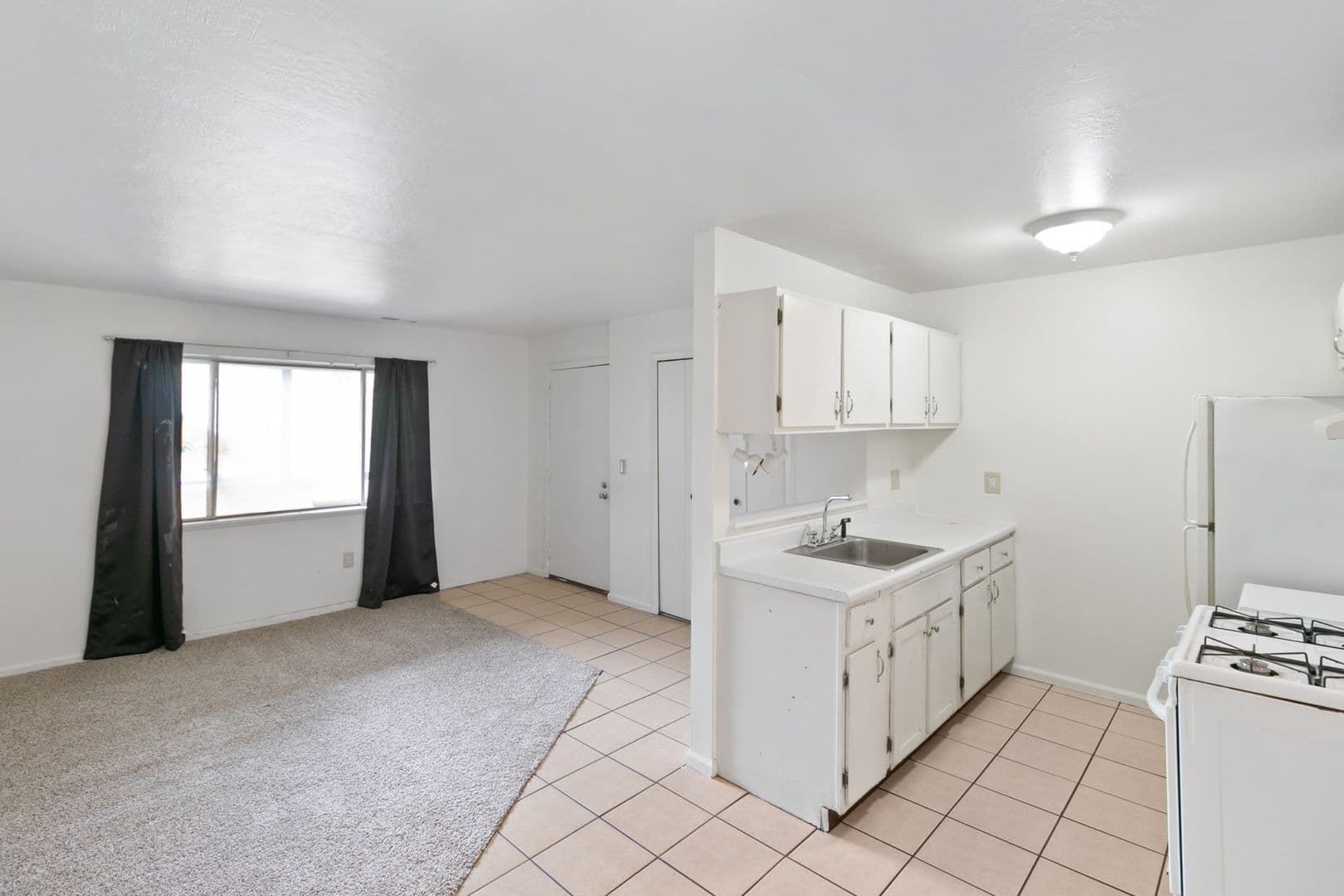 Saginaw Apartment: 1617 North Mason Street