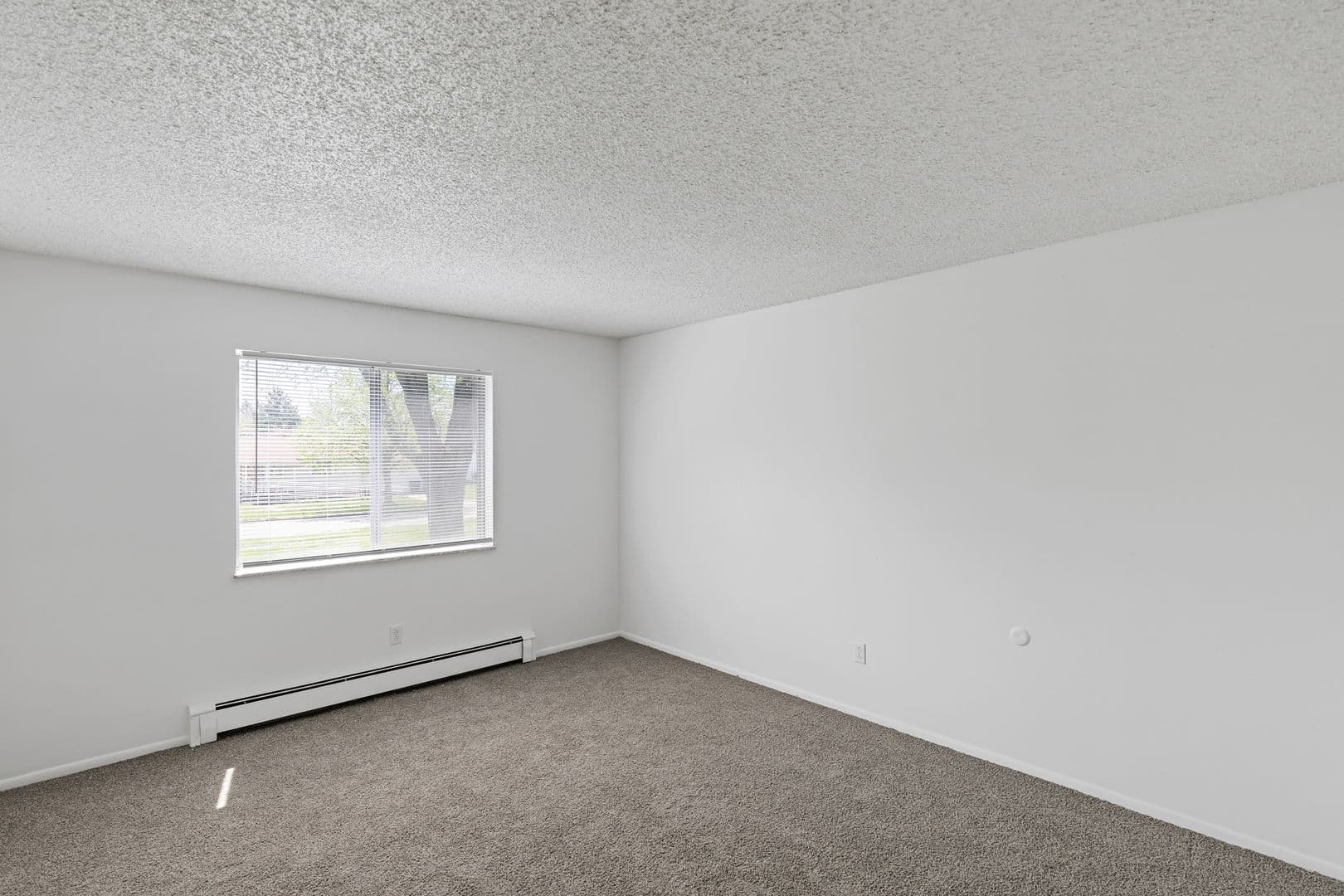 Albion Apartment: 205 E. Watson Street