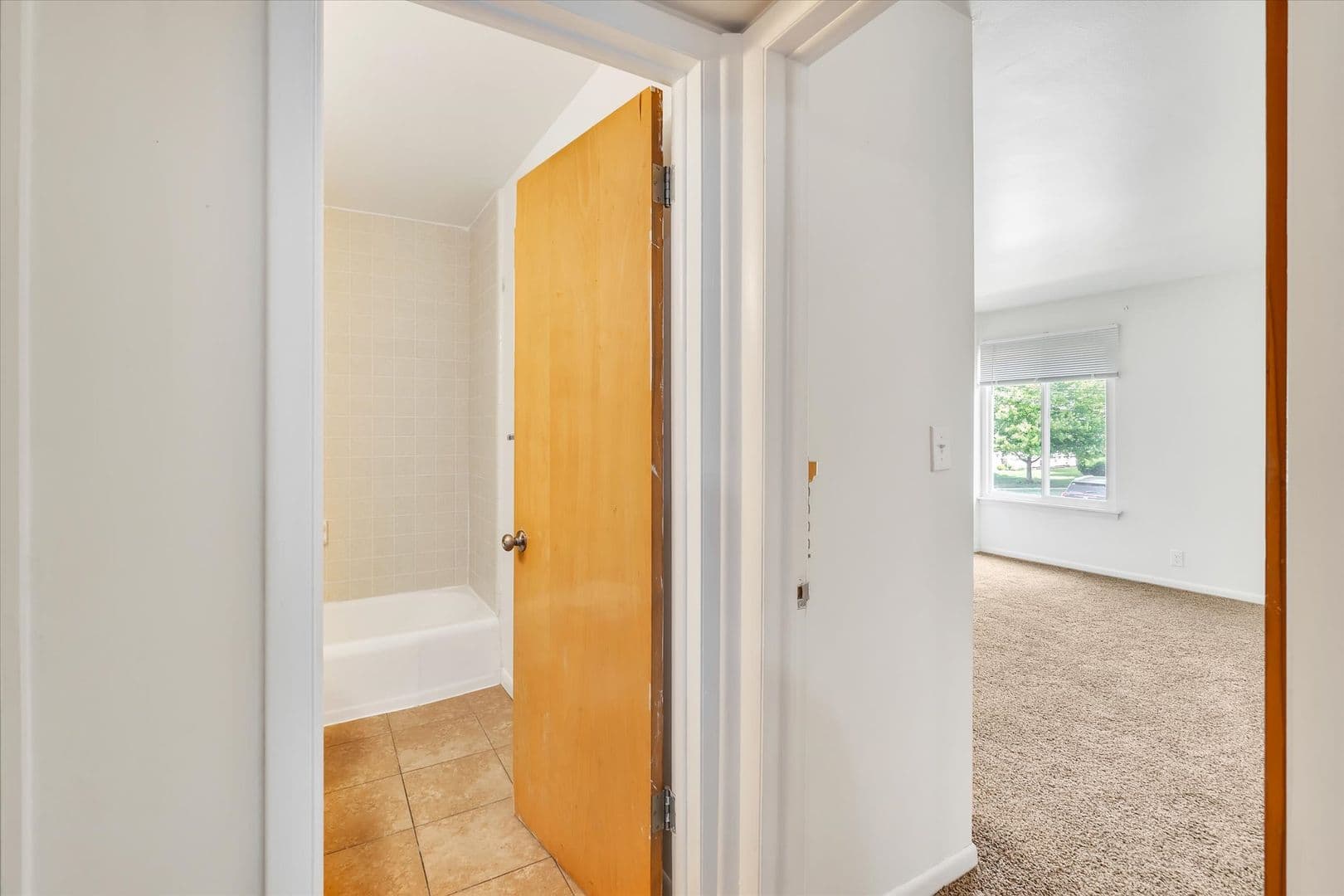 Owosso Apartment: 410 N. Ball St