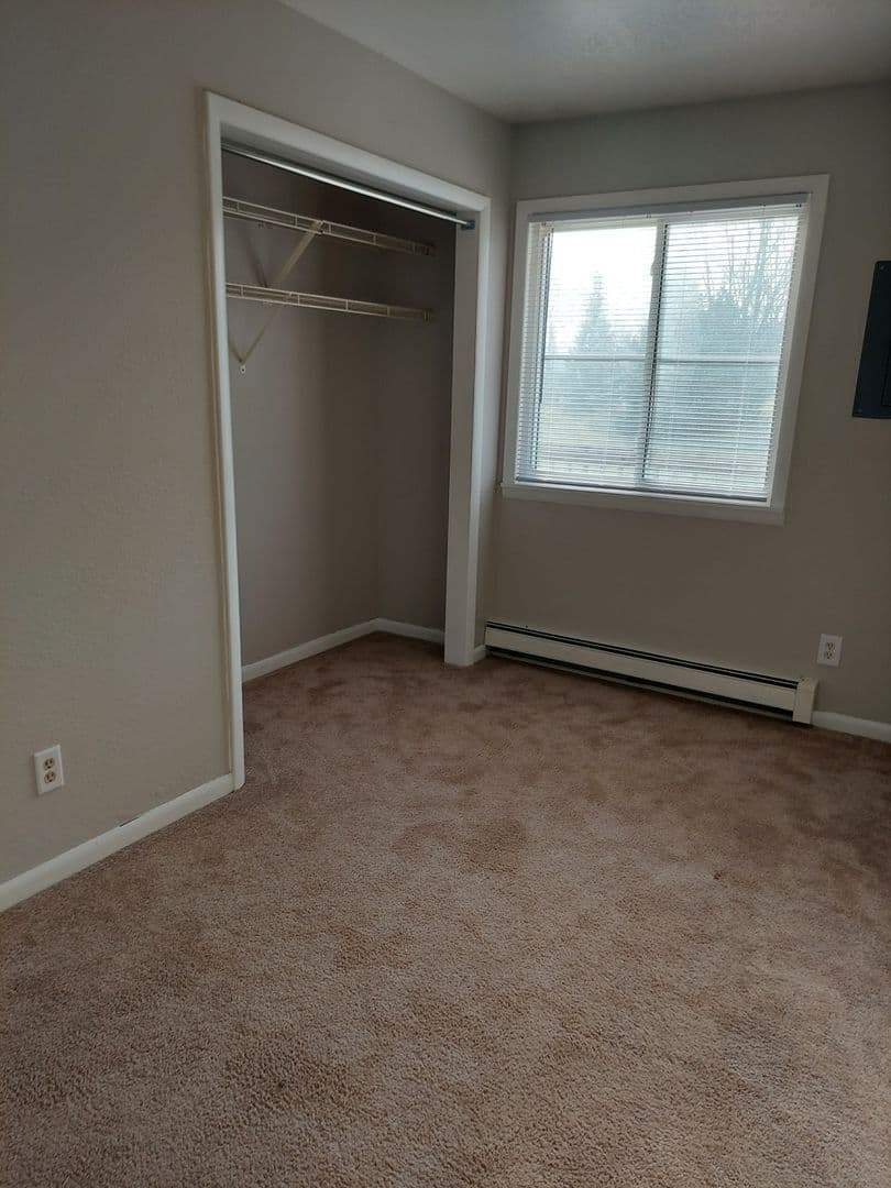 Ithaca Apartment: 531 N. Pine River St.