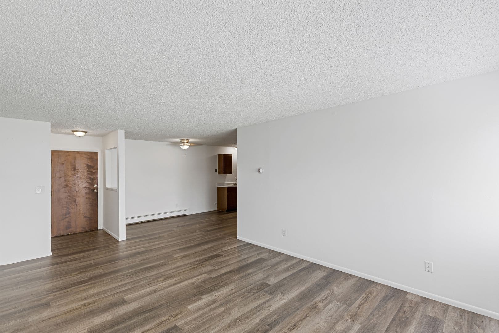 Albion Apartment: 205 E. Watson Street