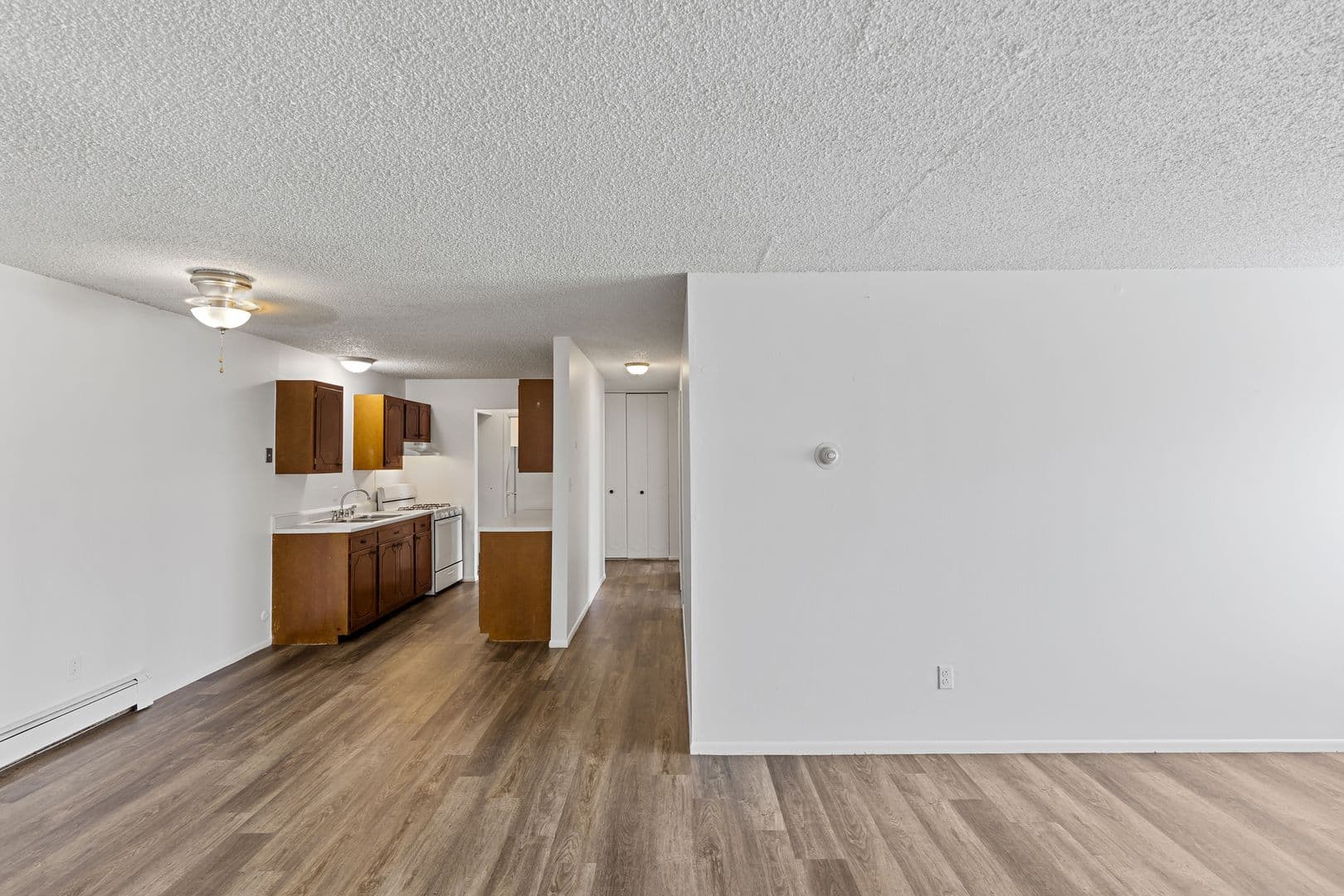 Albion Apartment: 205 E. Watson Street