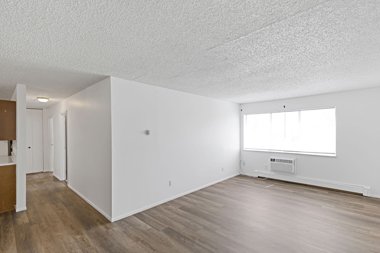 Albion Apartment: 205 E. Watson Street