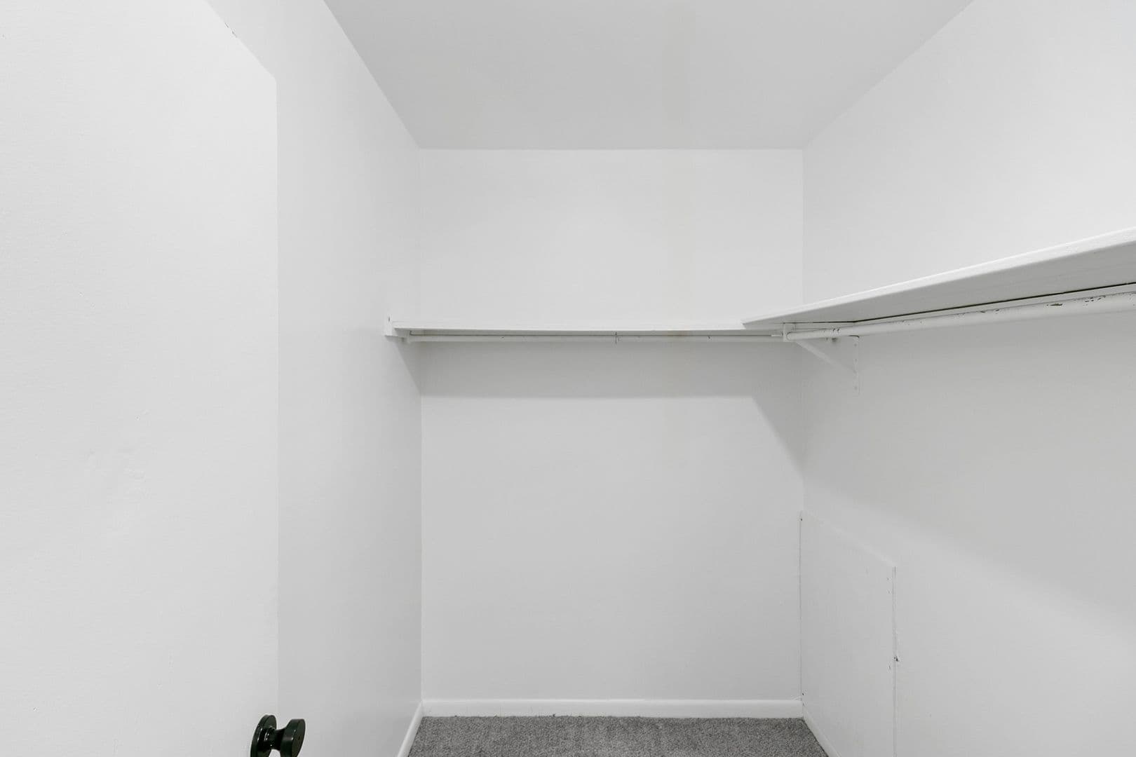 Kalamazoo Apartment: 105 N Kendall Ave