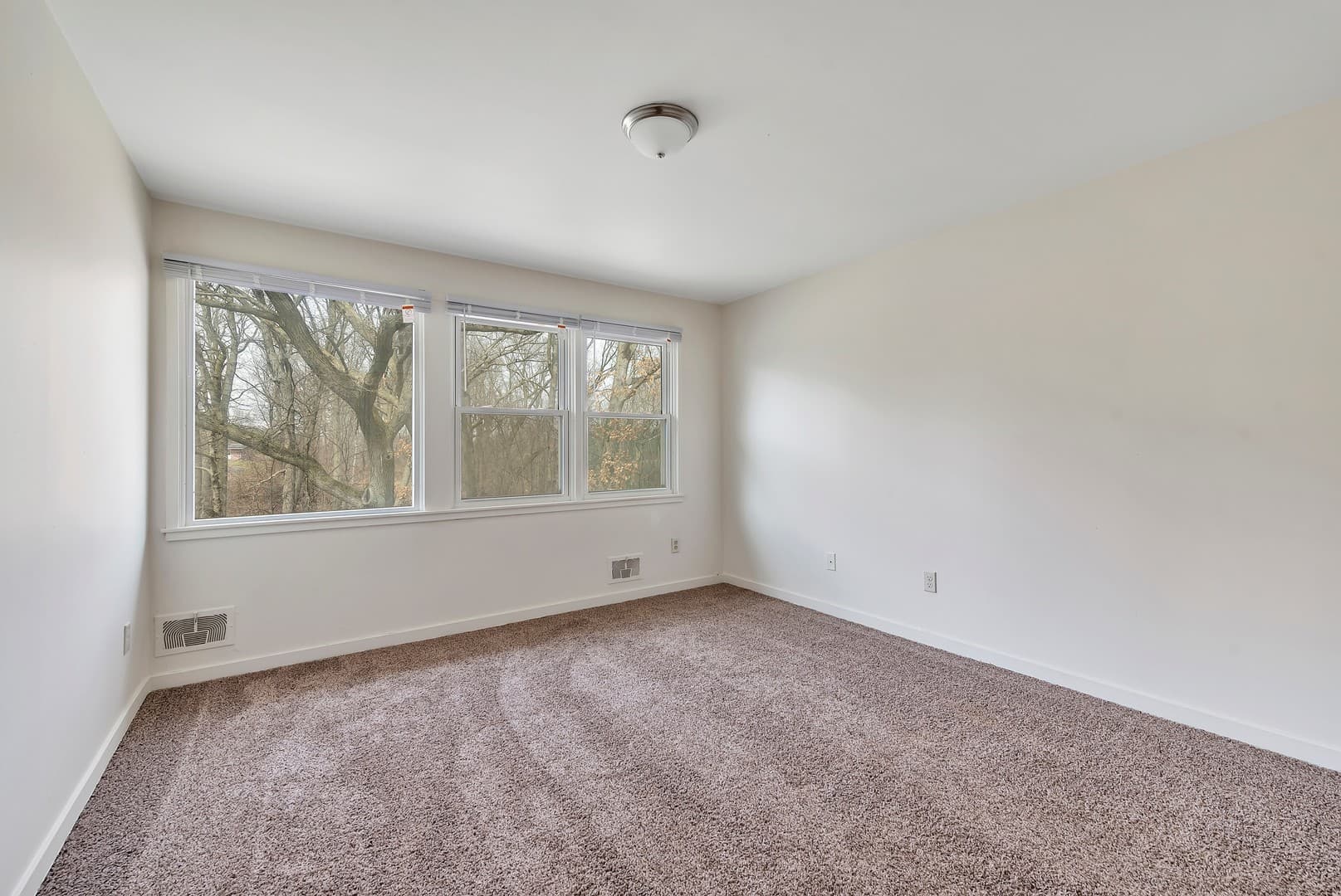 Springfield Apartment: 1 -16 Locust Road