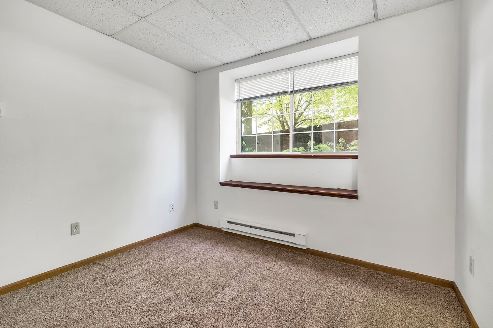 Olivet Apartment: 350 Church Street