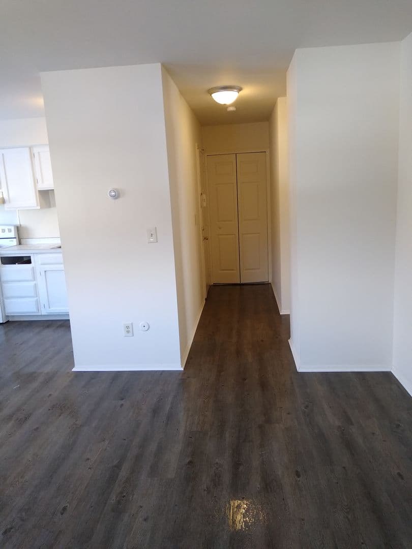 Davison Apartment: 348 E. Clark Street