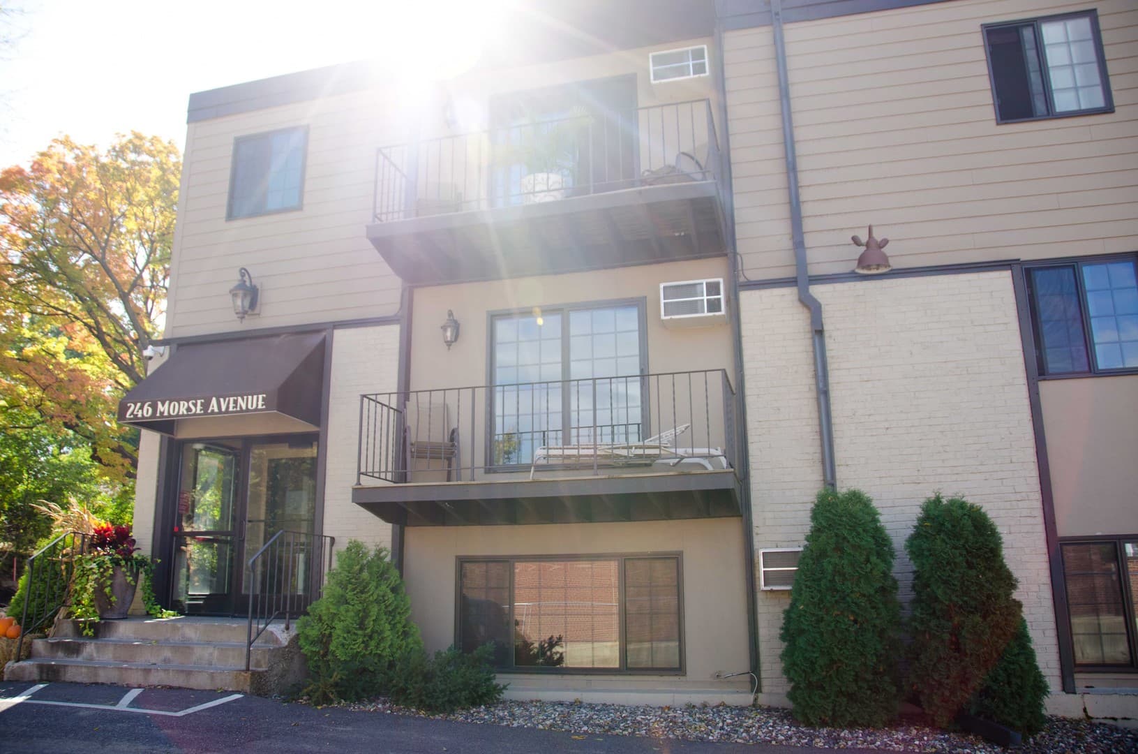 Excelsior Apartment: 246 Morse Ave
