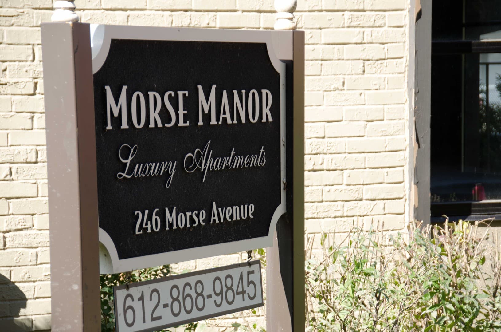 Excelsior Apartment: 246 Morse Ave