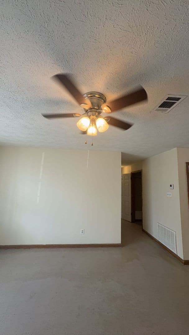 Guntown Apartment: 648 Mitchell Ave