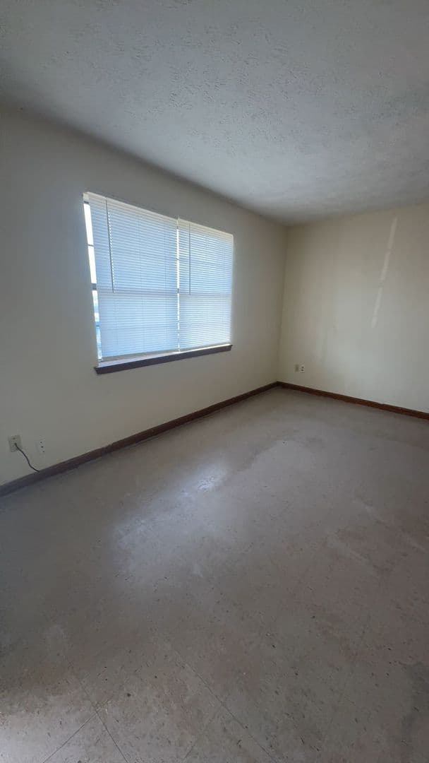 Guntown Apartment: 648 Mitchell Ave