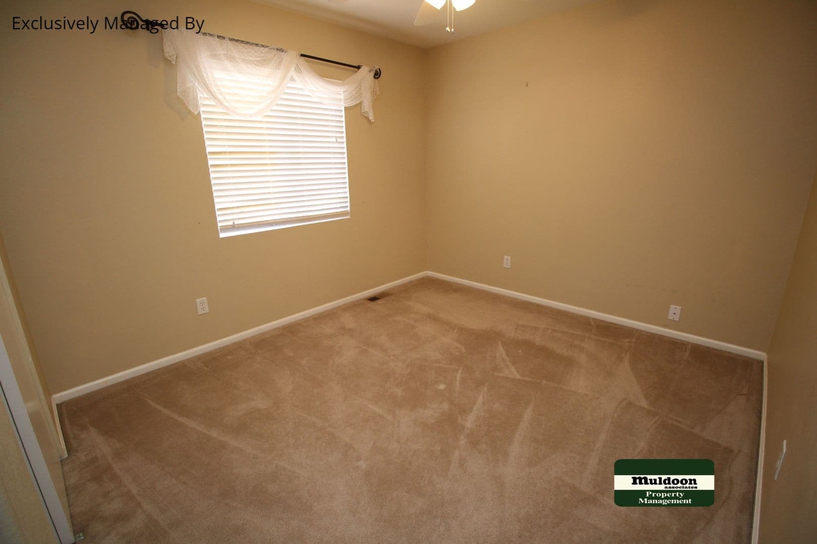 Colorado Springs House: 2041 Springside Dr