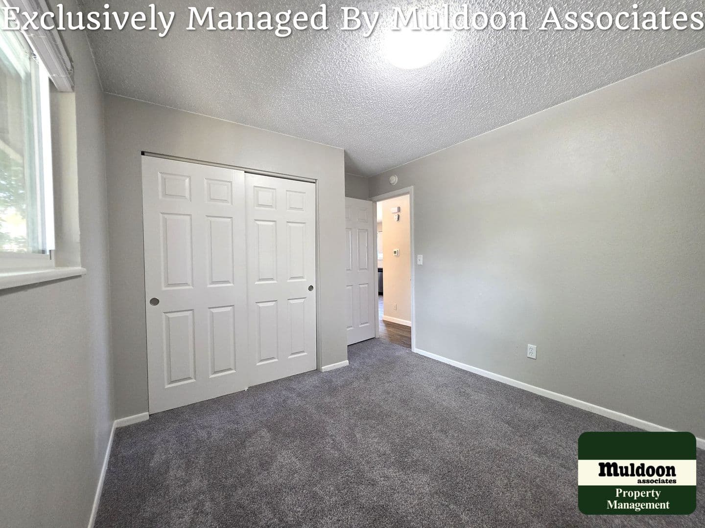 Colorado Springs House: 1243 Chiricahua Dr