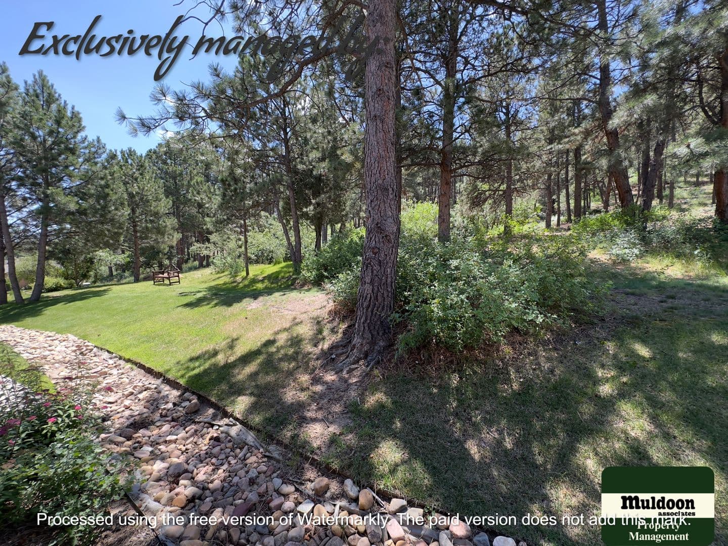 Colorado Springs House: 2247 Conservatory Pt