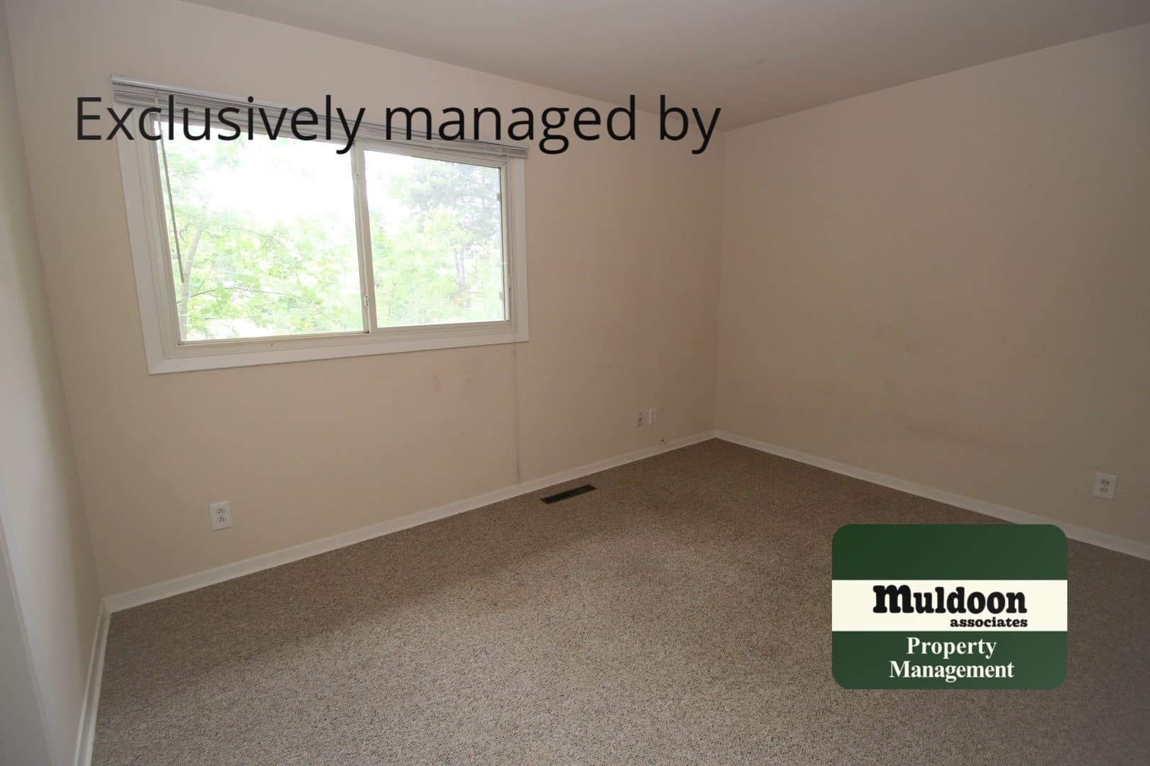 Colorado Springs House: 3026 Drakestone Dr