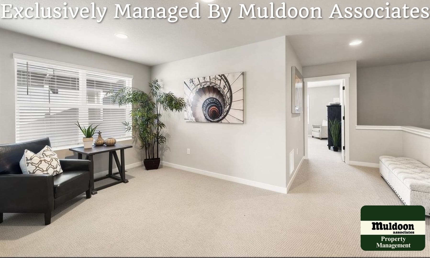 Colorado Springs Townhome: 3629 Levy Park Drive