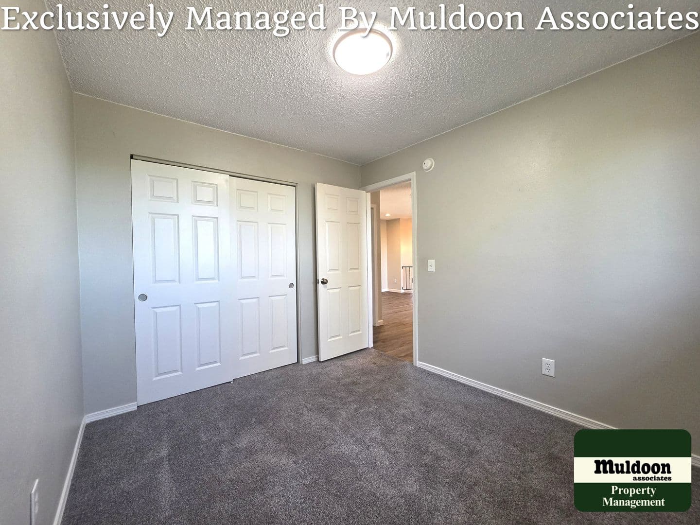 Colorado Springs House: 1243 Chiricahua Dr