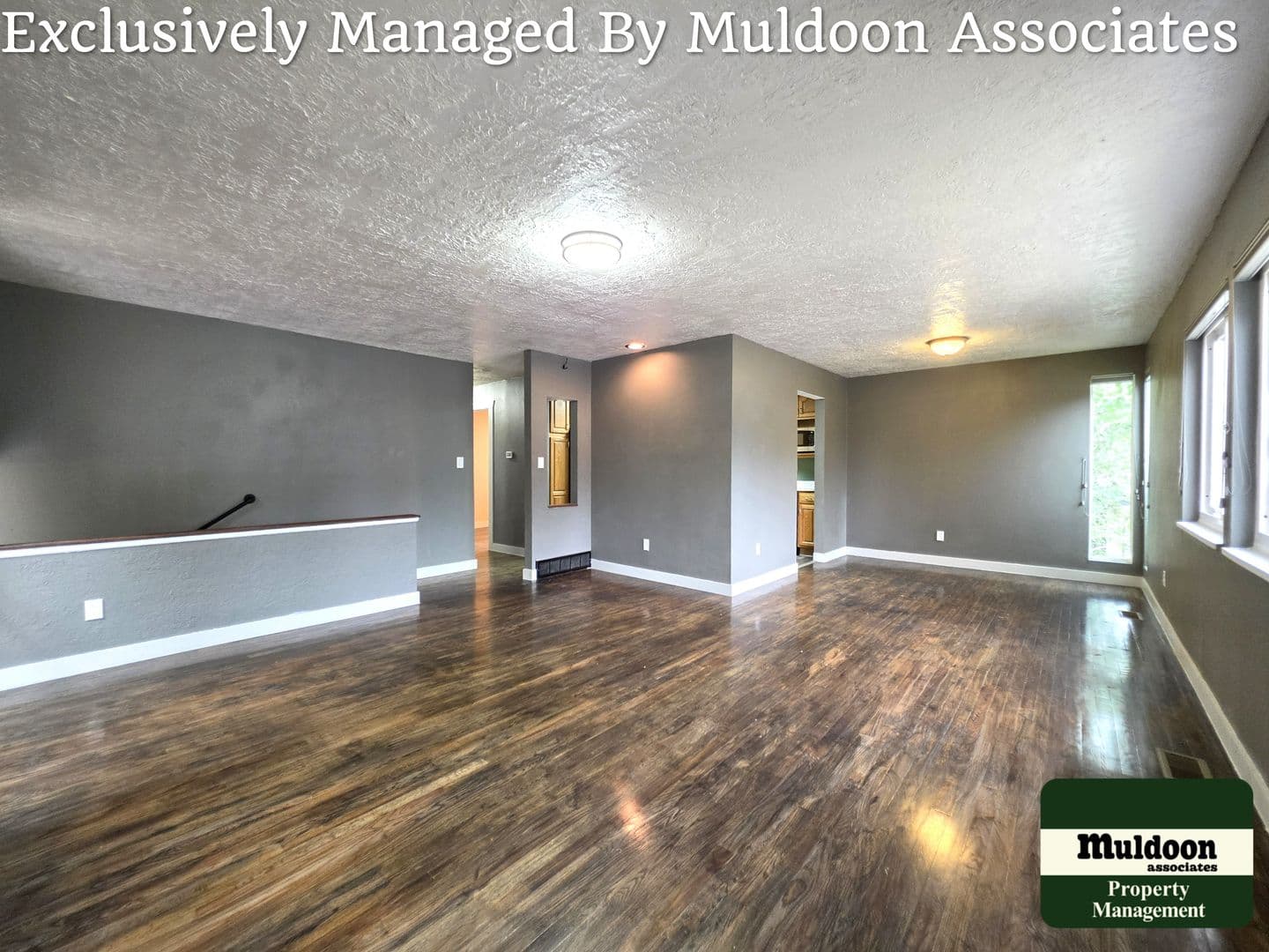 Colorado Springs House: 1450 Luna Vista Drive