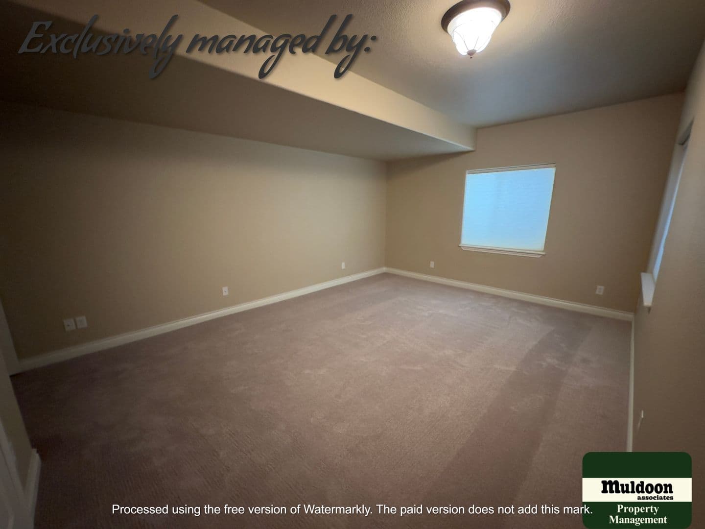 Colorado Springs House: 2247 Conservatory Pt
