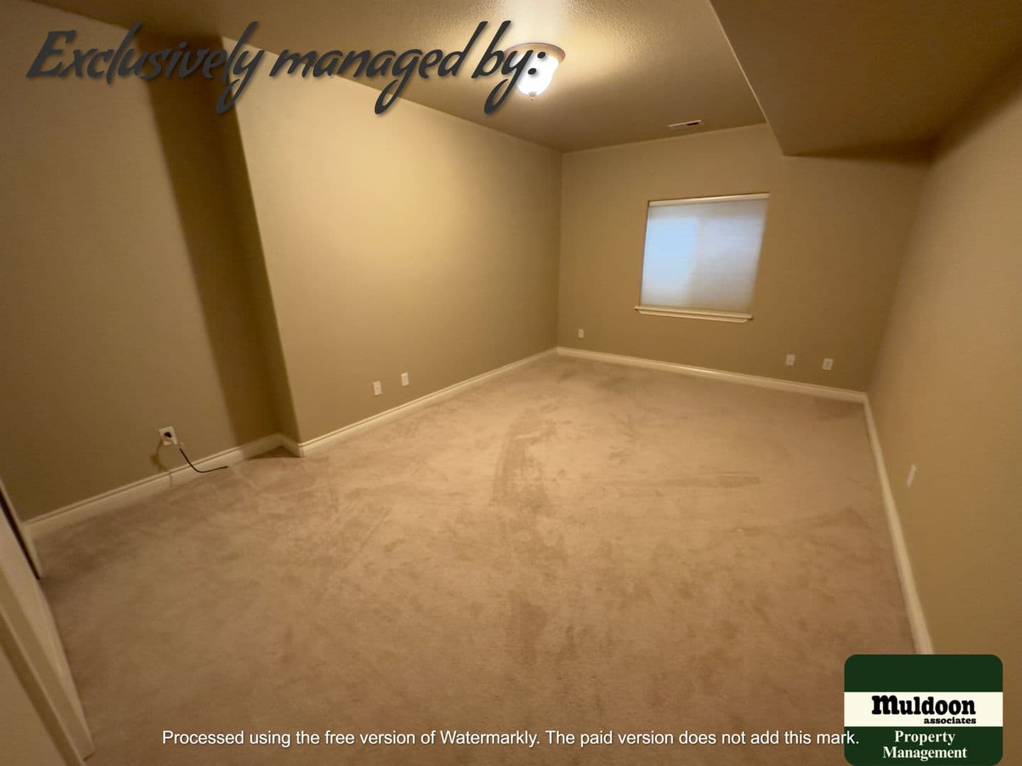 Colorado Springs House: 2247 Conservatory Pt