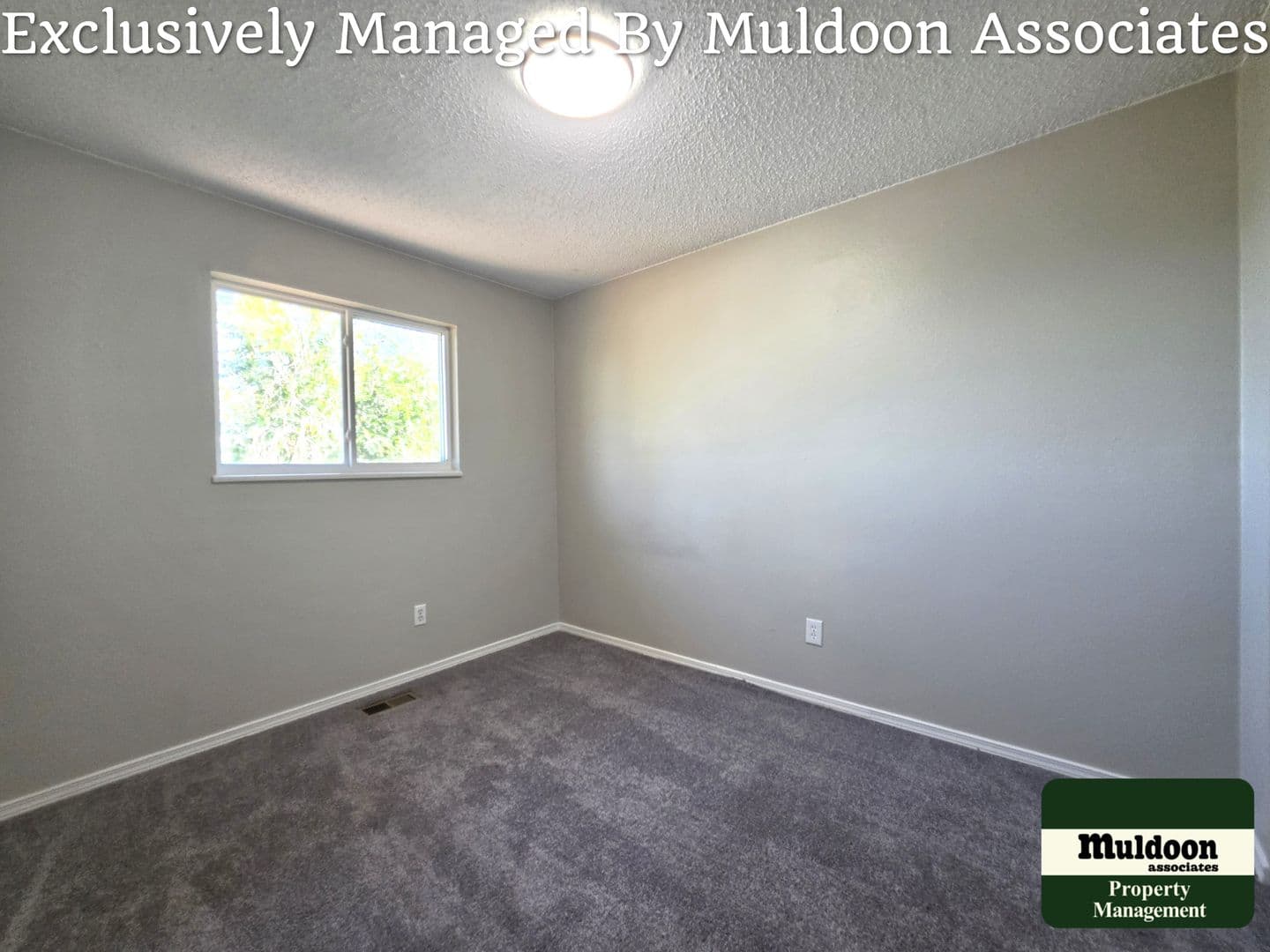 Colorado Springs House: 1243 Chiricahua Dr