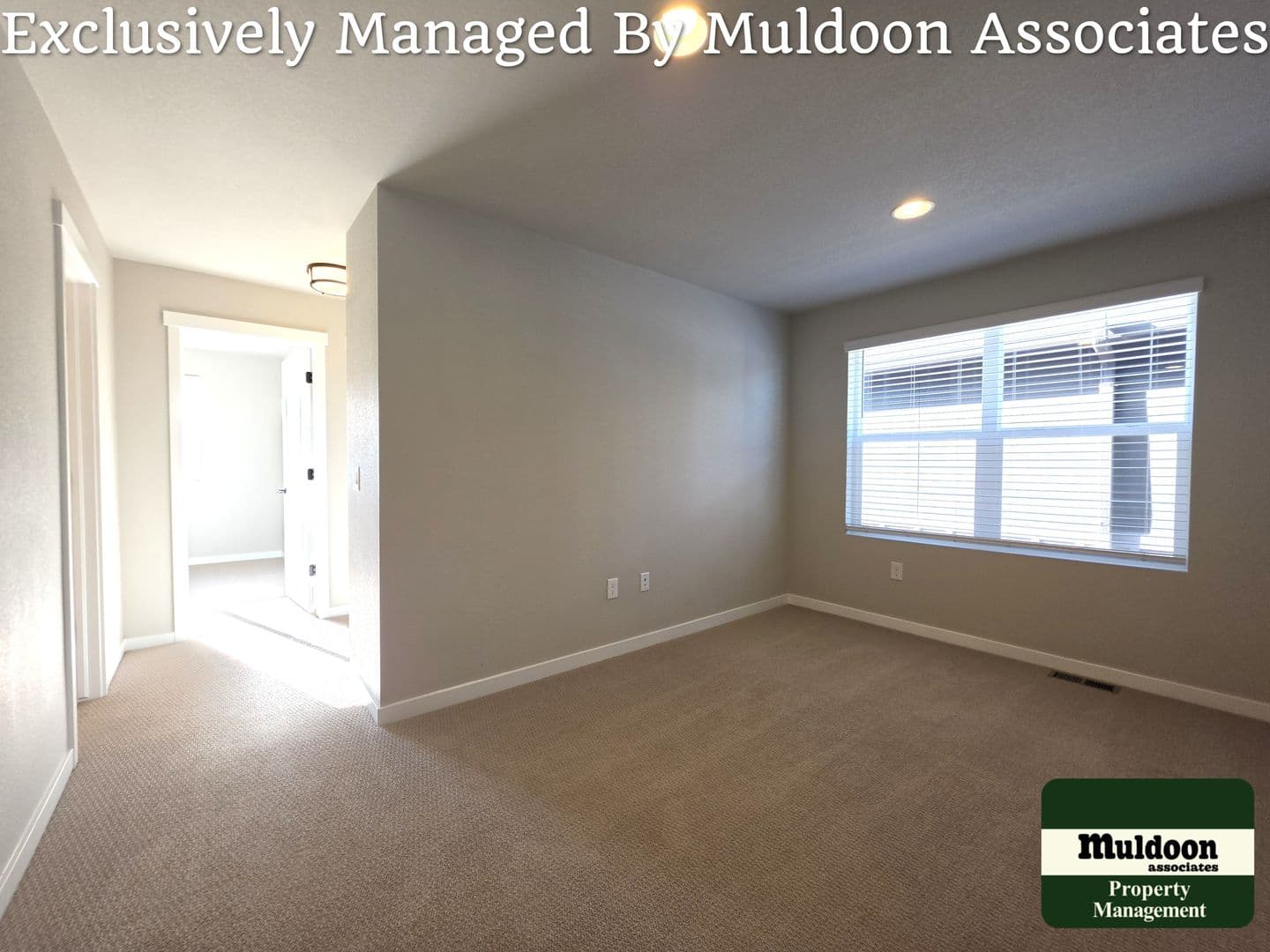 Colorado Springs Townhome: 3629 Levy Park Drive