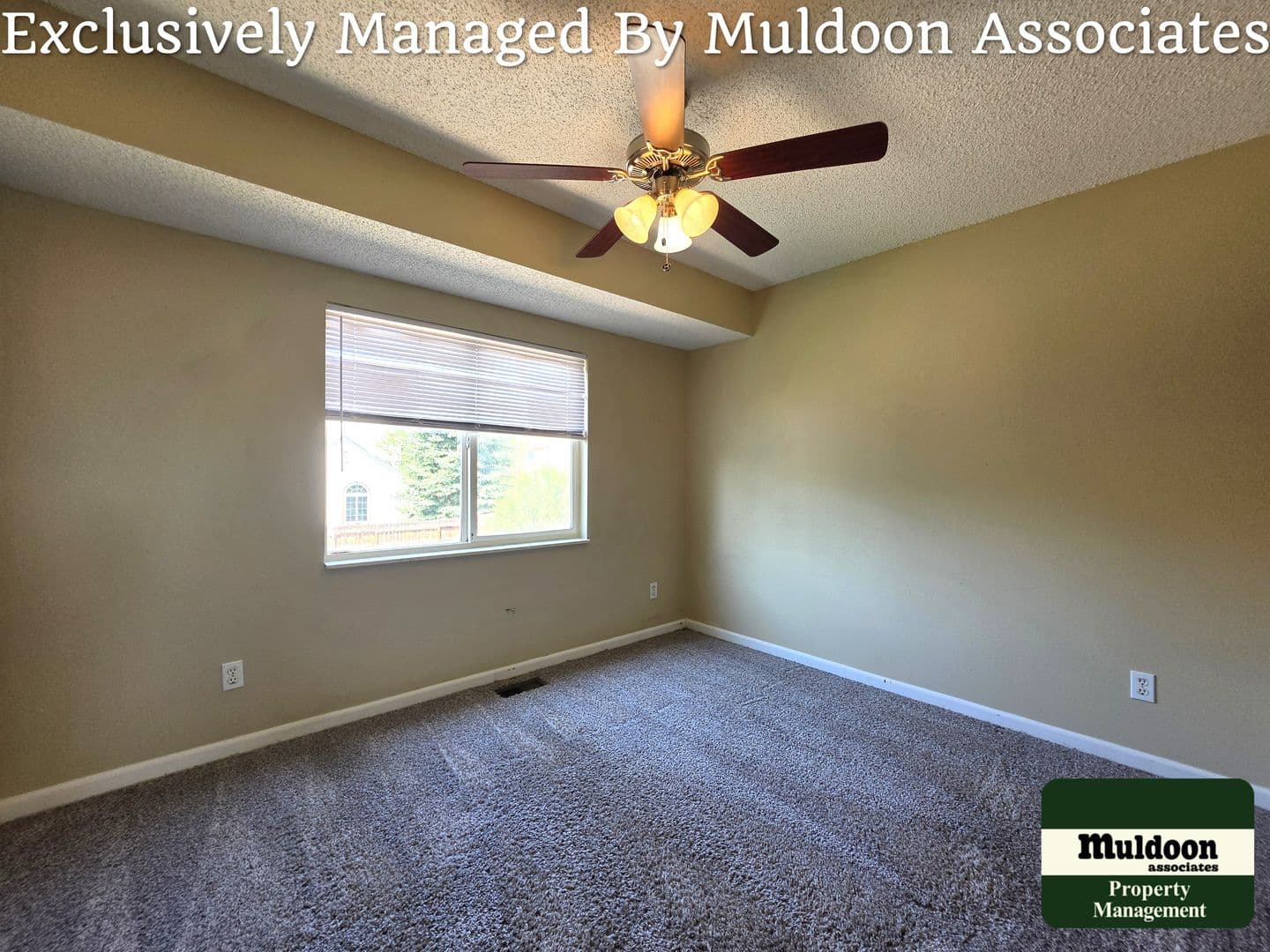 Colorado Springs House: 5920 Kittery Drive