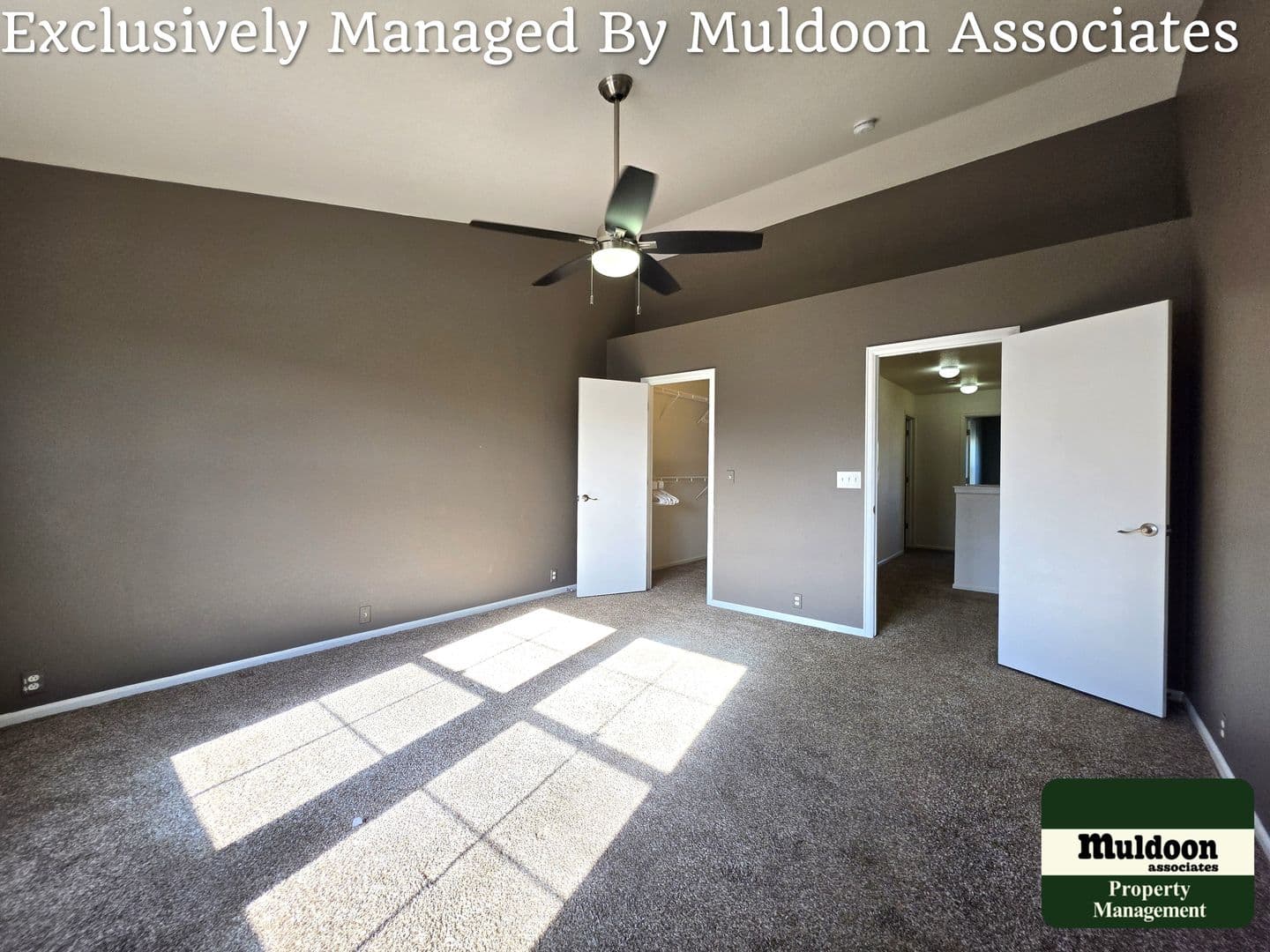 Colorado Springs Townhome: 6017 Ensemble Heights