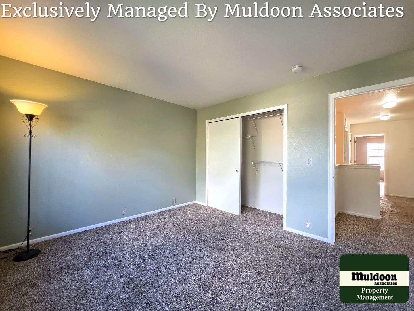 Colorado Springs Townhome: 6017 Ensemble Heights