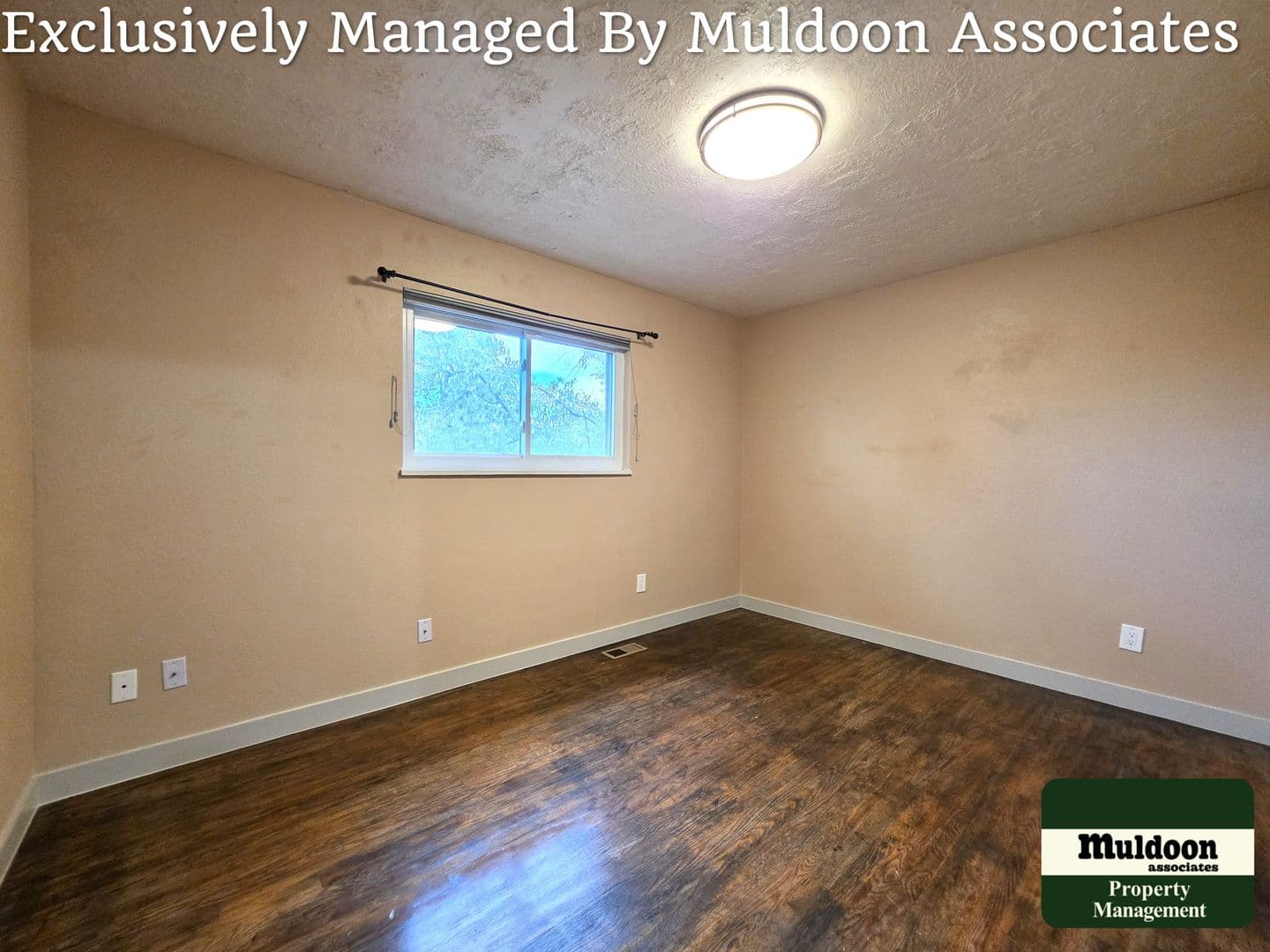 Colorado Springs House: 1450 Luna Vista Drive