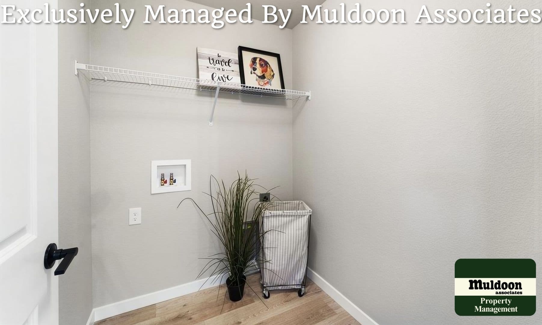 Colorado Springs Townhome: 3629 Levy Park Drive