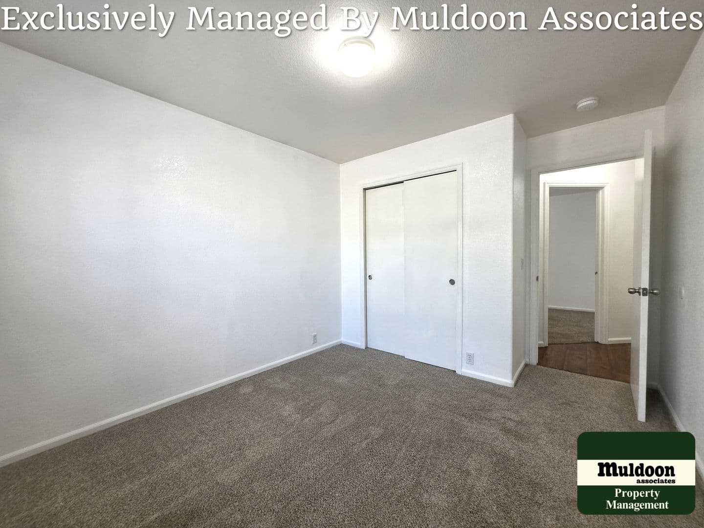 Colorado House: 7517 Sistine Ln
