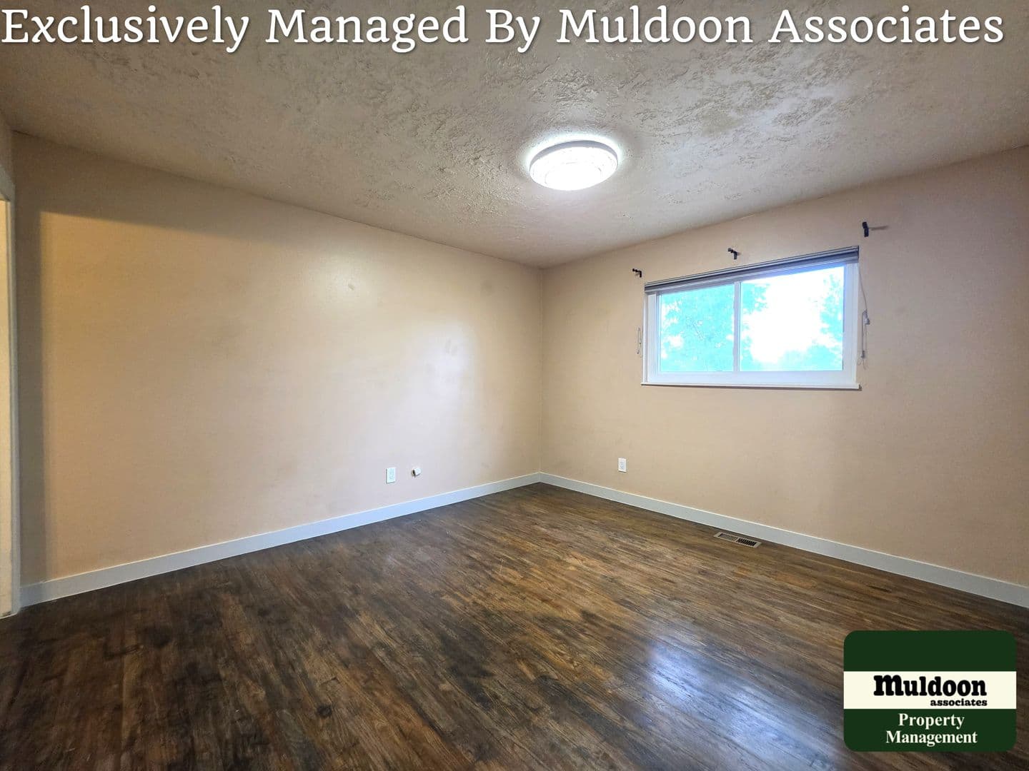 Colorado Springs House: 1450 Luna Vista Drive
