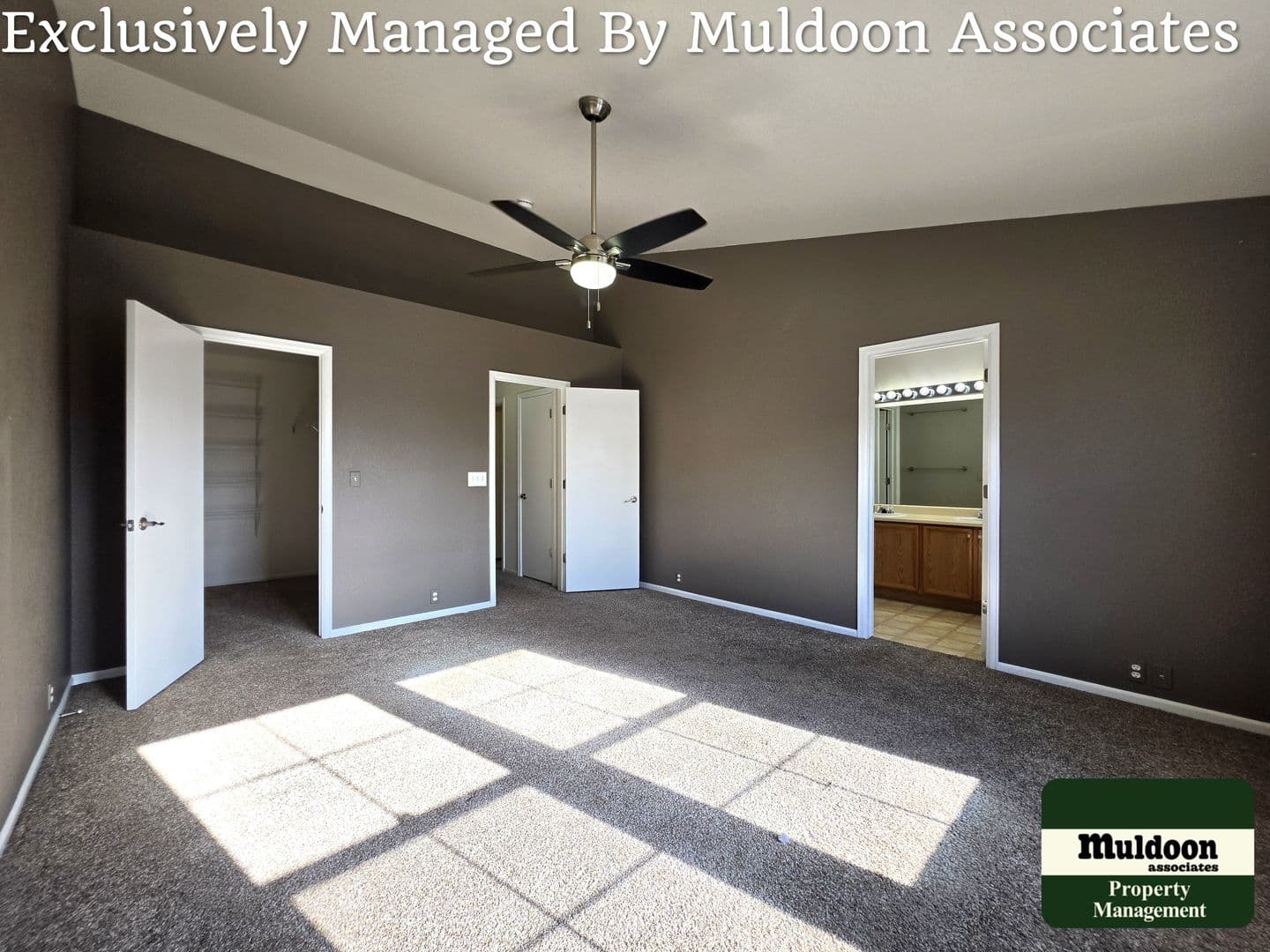 Colorado Springs Townhome: 6017 Ensemble Heights
