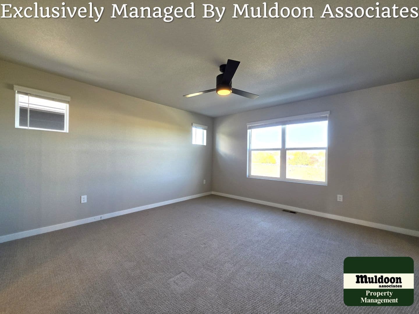 Colorado Springs Townhome: 3629 Levy Park Drive
