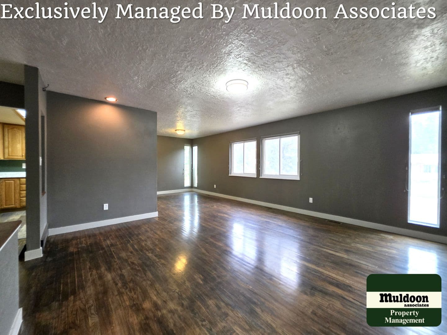 Colorado Springs House: 1450 Luna Vista Drive