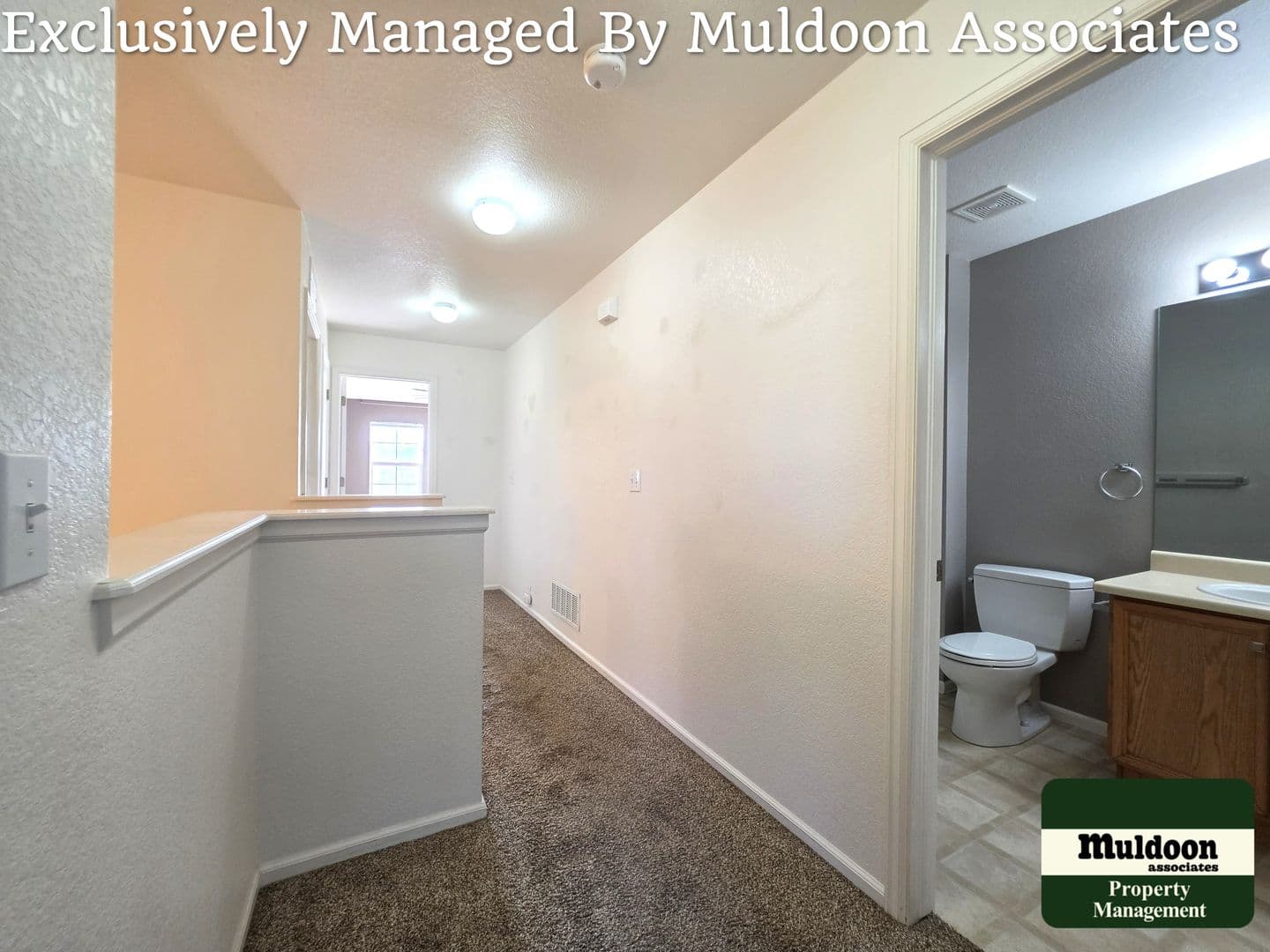 Colorado Springs Townhome: 6017 Ensemble Heights