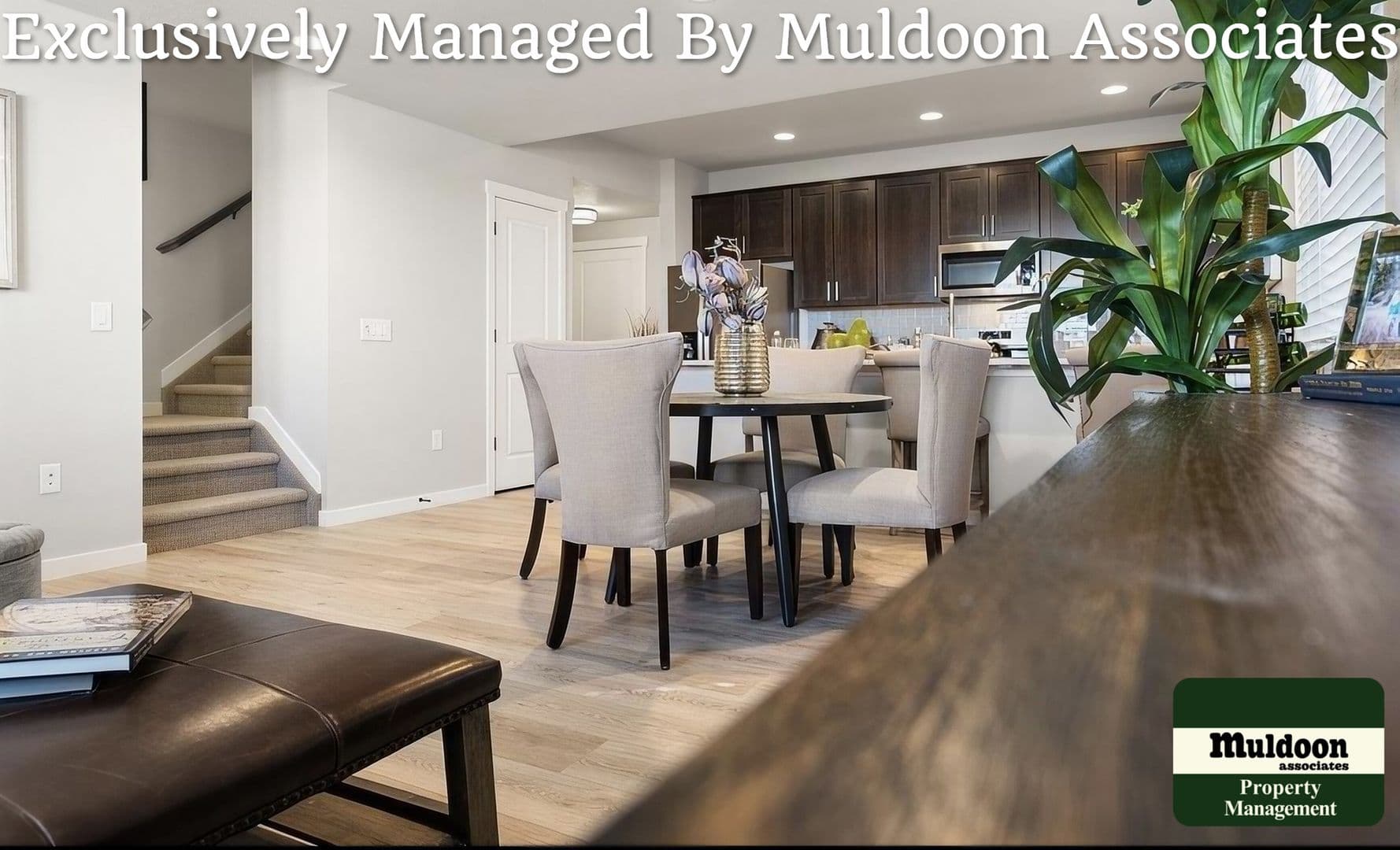 Colorado Springs Townhome: 3629 Levy Park Drive